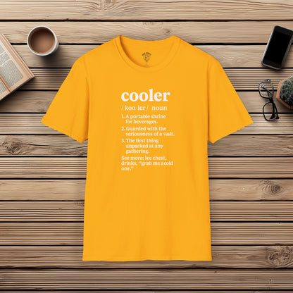 Cooler Definition