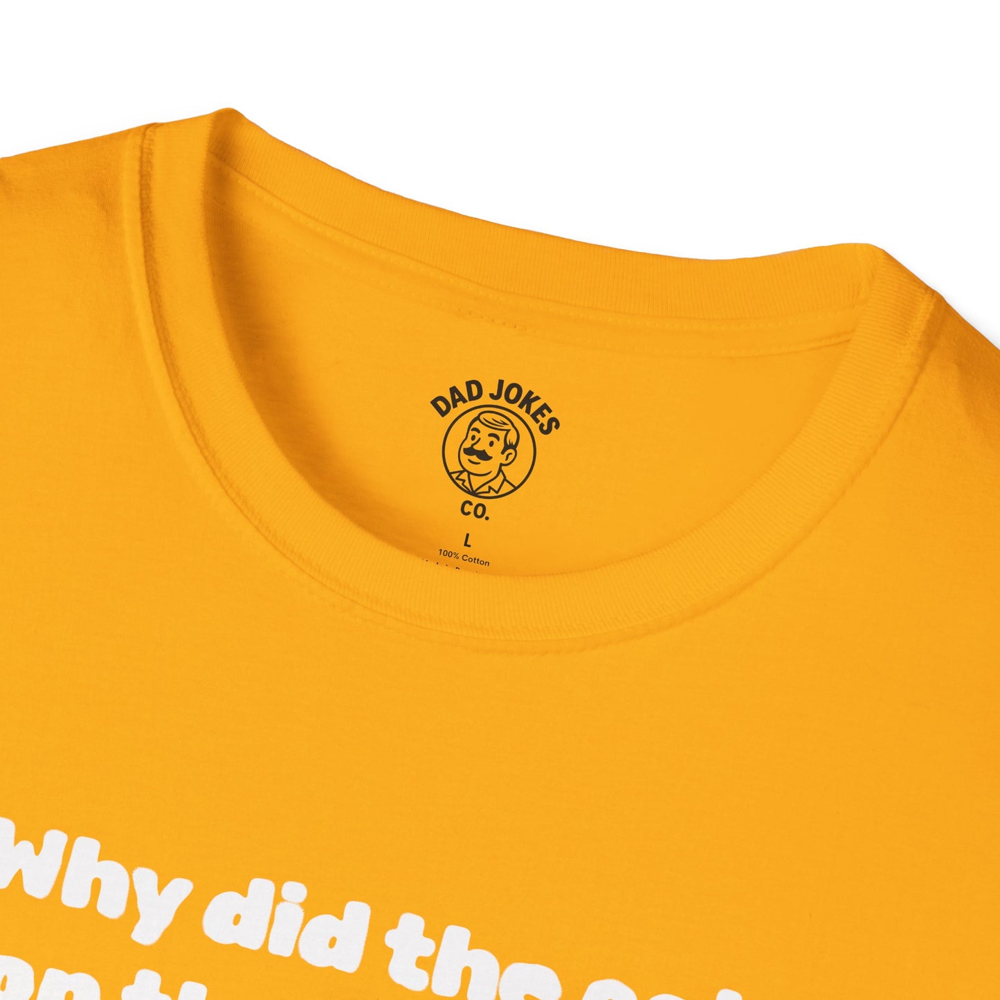 Why did the cat sit on the keyboard?